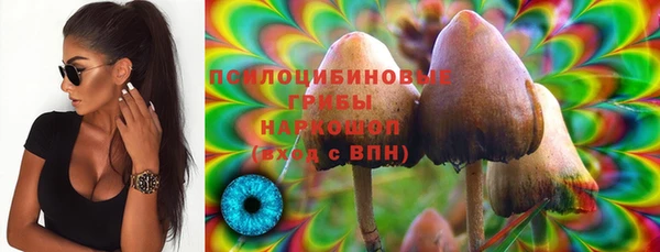 экстази Няндома