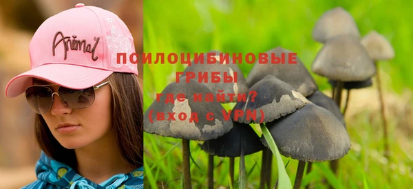 прущие крисы Новозыбков
