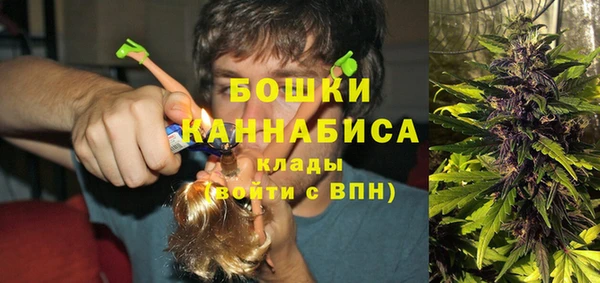 дмт Новокубанск