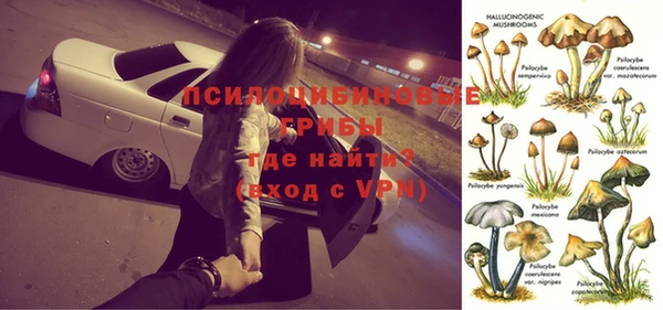 прущие крисы Новозыбков