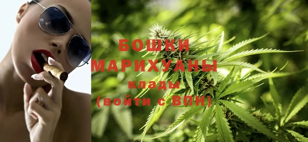 прущие крисы Новозыбков