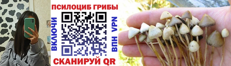 Купить  Абдулино  Галлюциногенные грибы Cubensis 